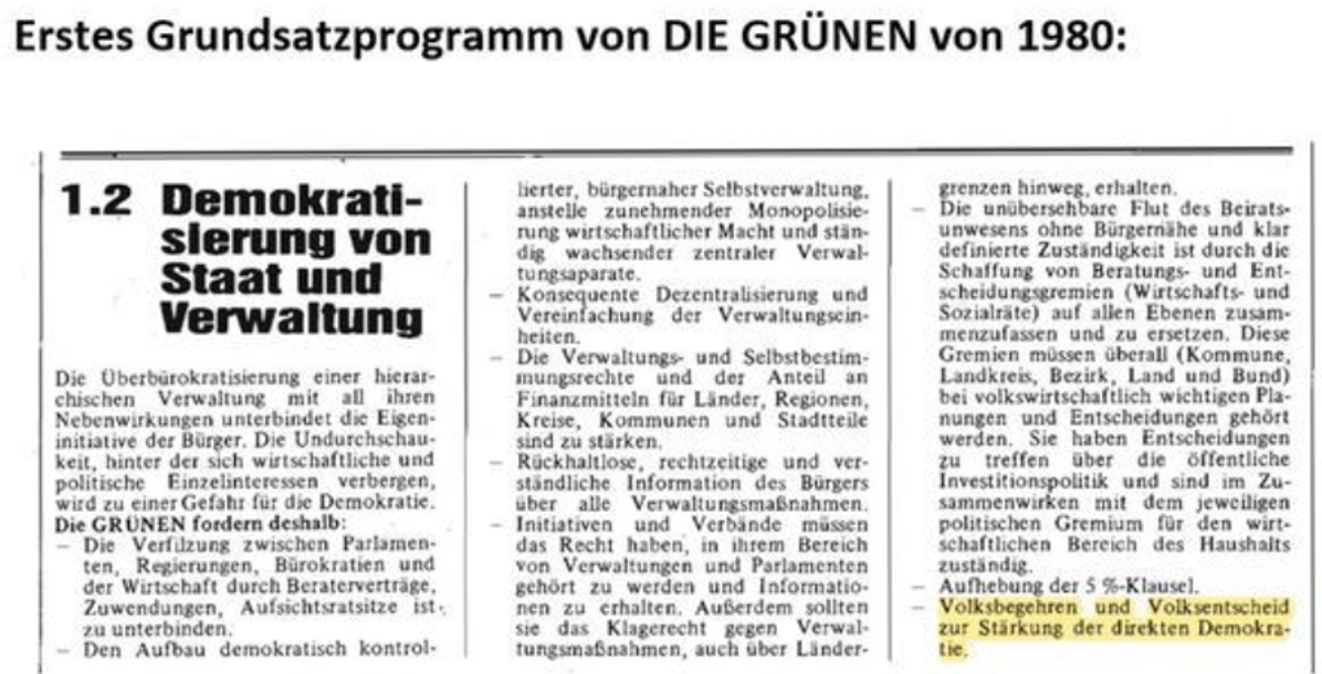 Grundsatzprogramm DieGruenen Volksentscheide.jpg